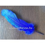 madártoll, LÚD TOLL, KIRÁLYKÉK (8 db / csomag) 16-20 cm