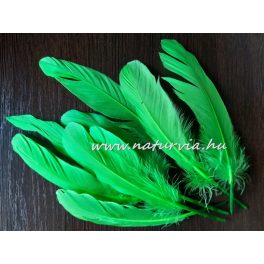   madártoll, LÚD TOLL, VILÁGOS ZÖLD / HÁRSZÖLD (8 db / csomag) 16-20 cm