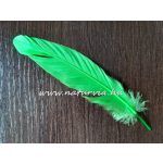 madártoll, LÚD TOLL, VILÁGOS ZÖLD / HÁRSZÖLD (8 db / csomag) 16-20 cm