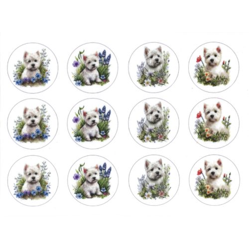 filc, barkácsfilc anyag A4 (~ 20*30 cm) - cuki KUTYÁK (WESTIE) körökben