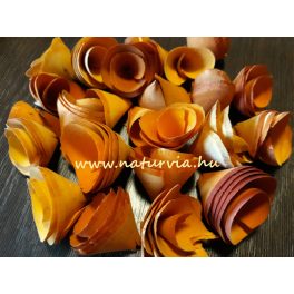 Háncs virág / háncsvirág, NARANCS (kb. 25 db / csomag)