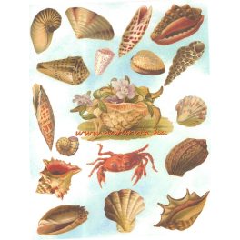   decoupage (dekupázs) papír, soft, 24*30 cm tengeri állatok 02 - UTOLSÓ DARAB!!!