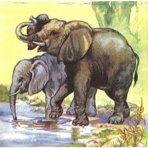 Szalvéta ÁLLAT, elefántok