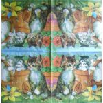 szalvéta ÁLLAT, CICÁK / MACSKÁK 01.