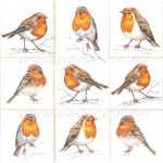 szalvéta ÁLLAT, MADARAK 02.