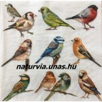 szalvéta ÁLLAT, MADARAK 04.