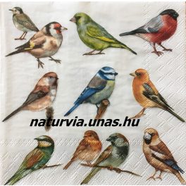 szalvéta ÁLLAT, MADARAK 04.