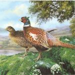 Szalvéta csomag FÁCÁNOK (20 db / csomag)