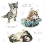szalvéta ÁLLAT, CICÁK / MACSKÁK 04