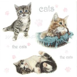 szalvéta ÁLLAT, CICÁK / MACSKÁK 04