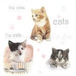 szalvéta ÁLLAT, CICÁK / MACSKÁK 04