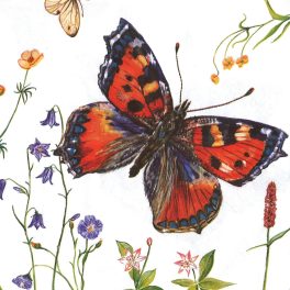 szalvéta ÁLLAT, lepke 06. nagy, színes