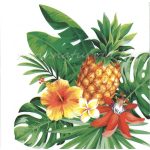 Szalvéta GYÜMÖLCS, ANANÁSZ 02