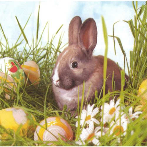 szalvéta HÚSVÉT 08 - NYUSZI 02 (nyúl)