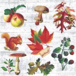 szalvéta ŐSZ (levél, mókus, gomba, szeder, alma)