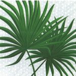 Szalvéta LEVELEK 04 - PÁLMA