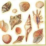 szalvéta, tengeri állatok (kagylók, csigák...) 02