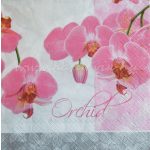 szalvéta VIRÁG, ORCHIDEA 01.