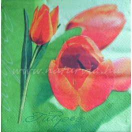 szalvéta VIRÁG, TULIPÁN 02