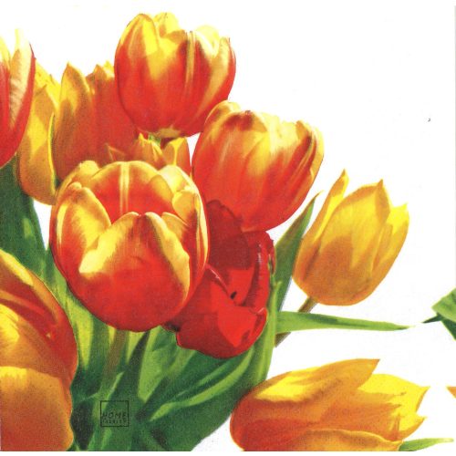 szalvéta VIRÁG, VIRÁG 05 - TULIPÁN 09 - UTOLSÓ DARAB!!!
