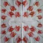 szalvéta VIRÁG, TULIPÁN 04
