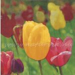 szalvéta VIRÁG, TULIPÁN 06
