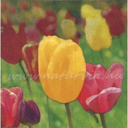 szalvéta VIRÁG, TULIPÁN 06