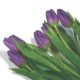 szalvéta VIRÁG, TULIPÁN 10 - UTOLSÓ DARAB!!!