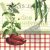 Szalvéta PAPRIKA