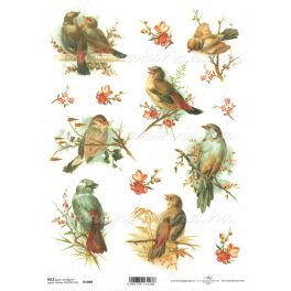 decoupage (dekupázs) rizspapír A4, MADARAK 01. (R1069)