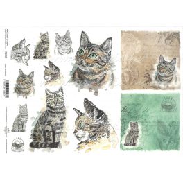   decoupage (dekupázs) rizspapír A4, MACSKÁK / CICÁK 02. (R1565)
