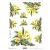 decoupage (dekupázs) rizspapír, VIRÁG - sárga PRIMULA (R905)