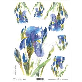 decoupage (dekupázs) rizspapír, VIRÁG - lila ÍRISZ