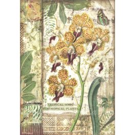   decoupage (dekupázs) rizspapír, VIRÁGOK - AMAZÓNIA ORCHIDEA (DFSA4532) 