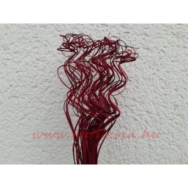   Szárított növény, CURLY TING TING (10 dkg / csomag) 45 cm, BORDÓ