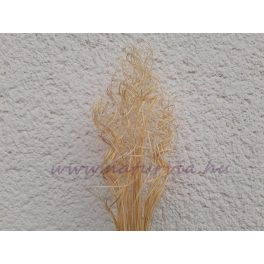   Szárított növény, CURLY TING TING (10 dkg / csomag) 45 cm, NATÚR (fehérített)