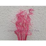 Szárított növény, CURLY TING TING (10 dkg / csomag) 45 cm, RÓZSASZÍN (fehérített)